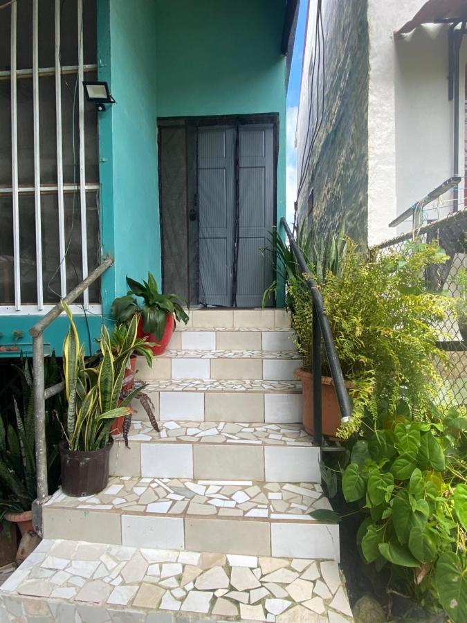 Blue Morpho House B&B Manuel Antonio Dış mekan fotoğraf