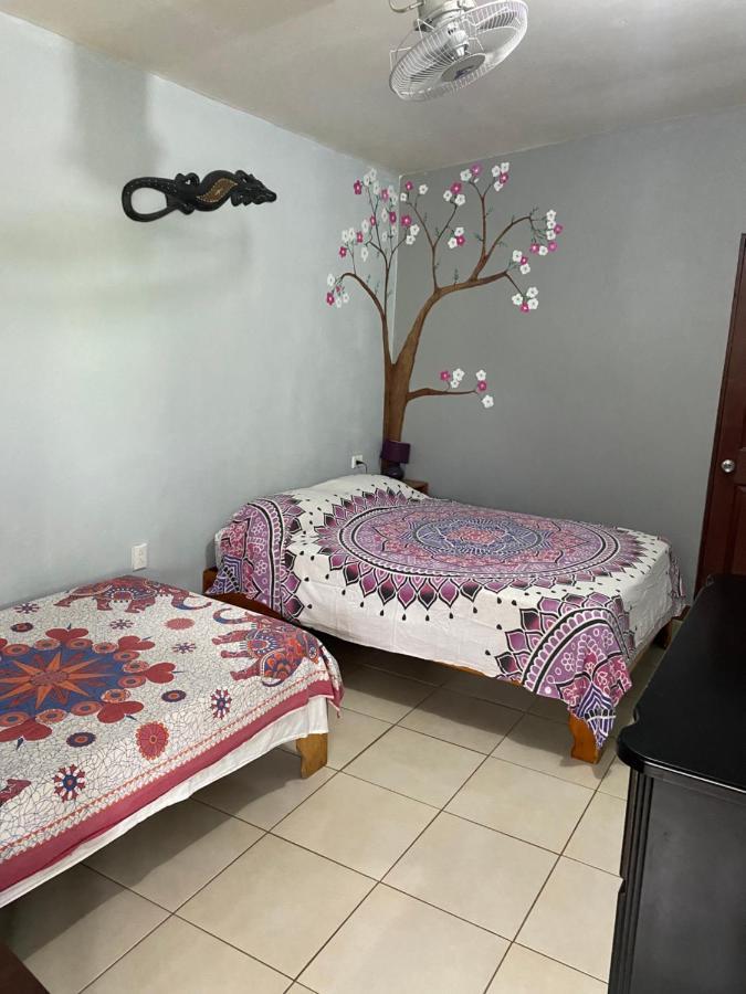 Blue Morpho House B&B Manuel Antonio Dış mekan fotoğraf