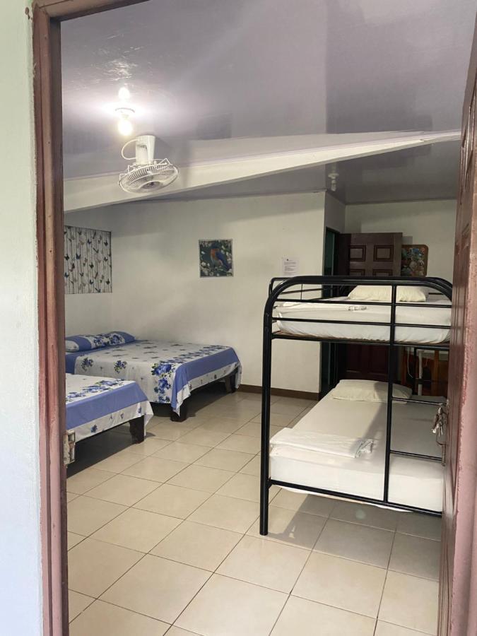Blue Morpho House B&B Manuel Antonio Dış mekan fotoğraf