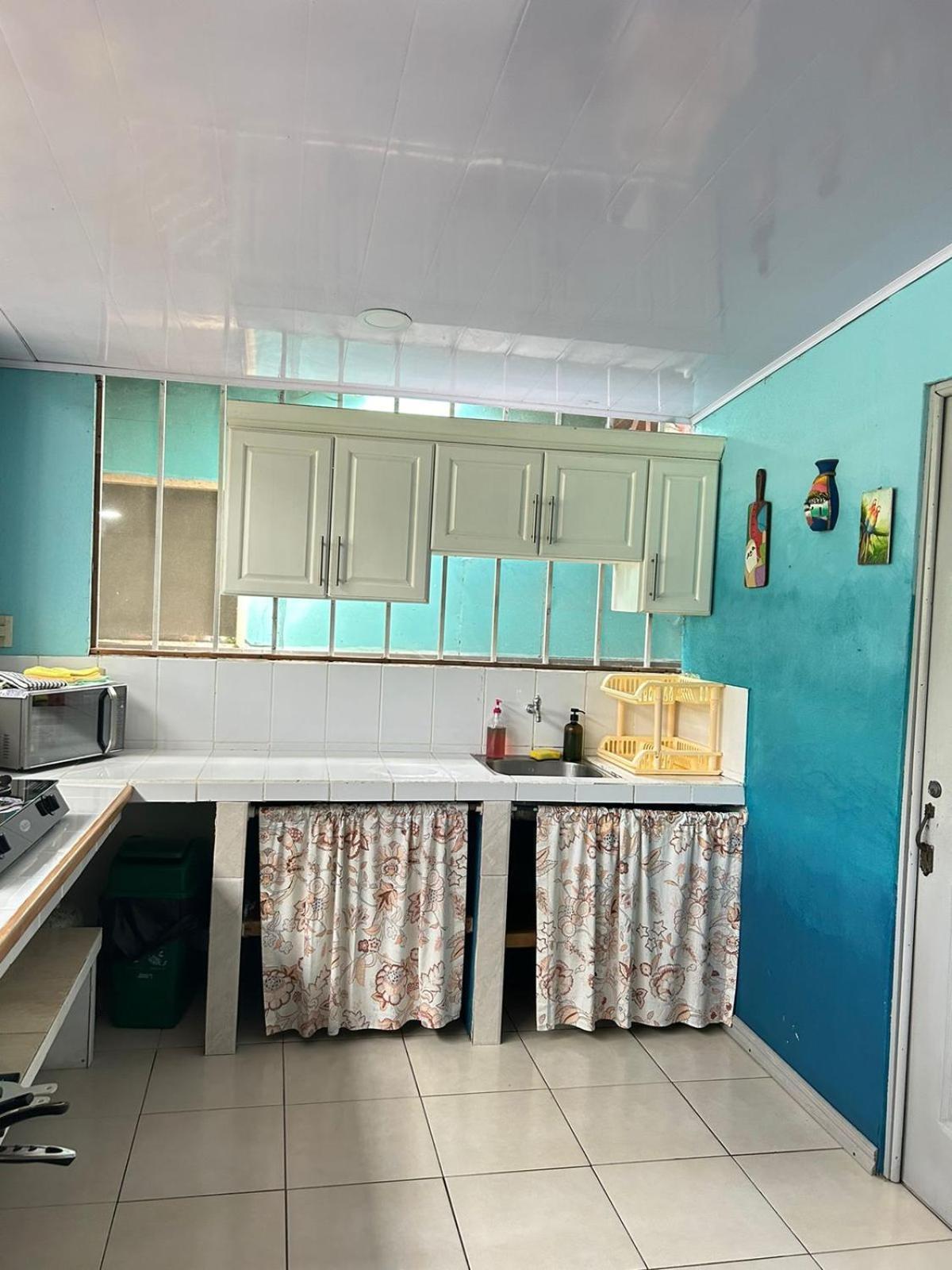 Blue Morpho House B&B Manuel Antonio Dış mekan fotoğraf