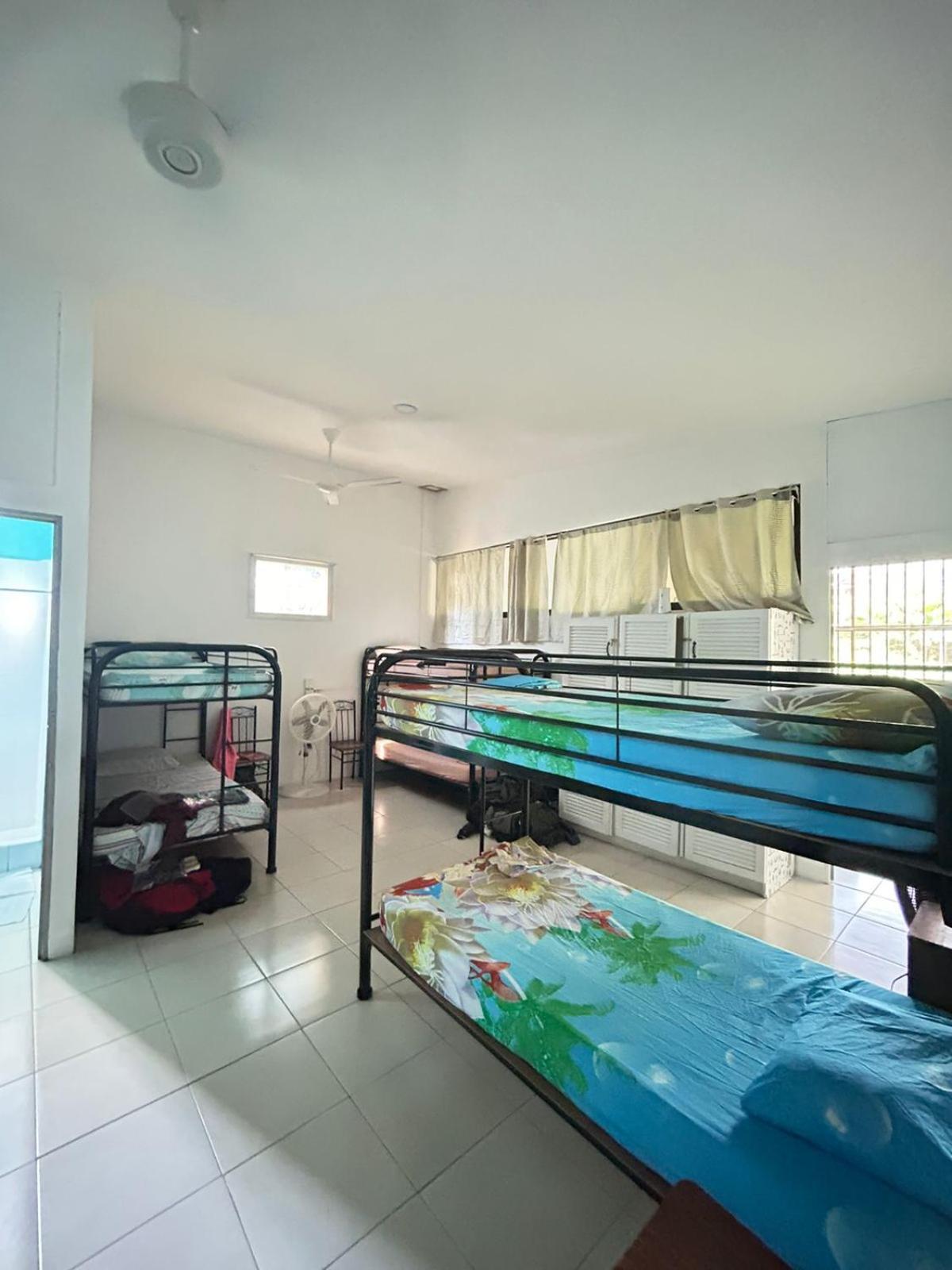 Blue Morpho House B&B Manuel Antonio Dış mekan fotoğraf