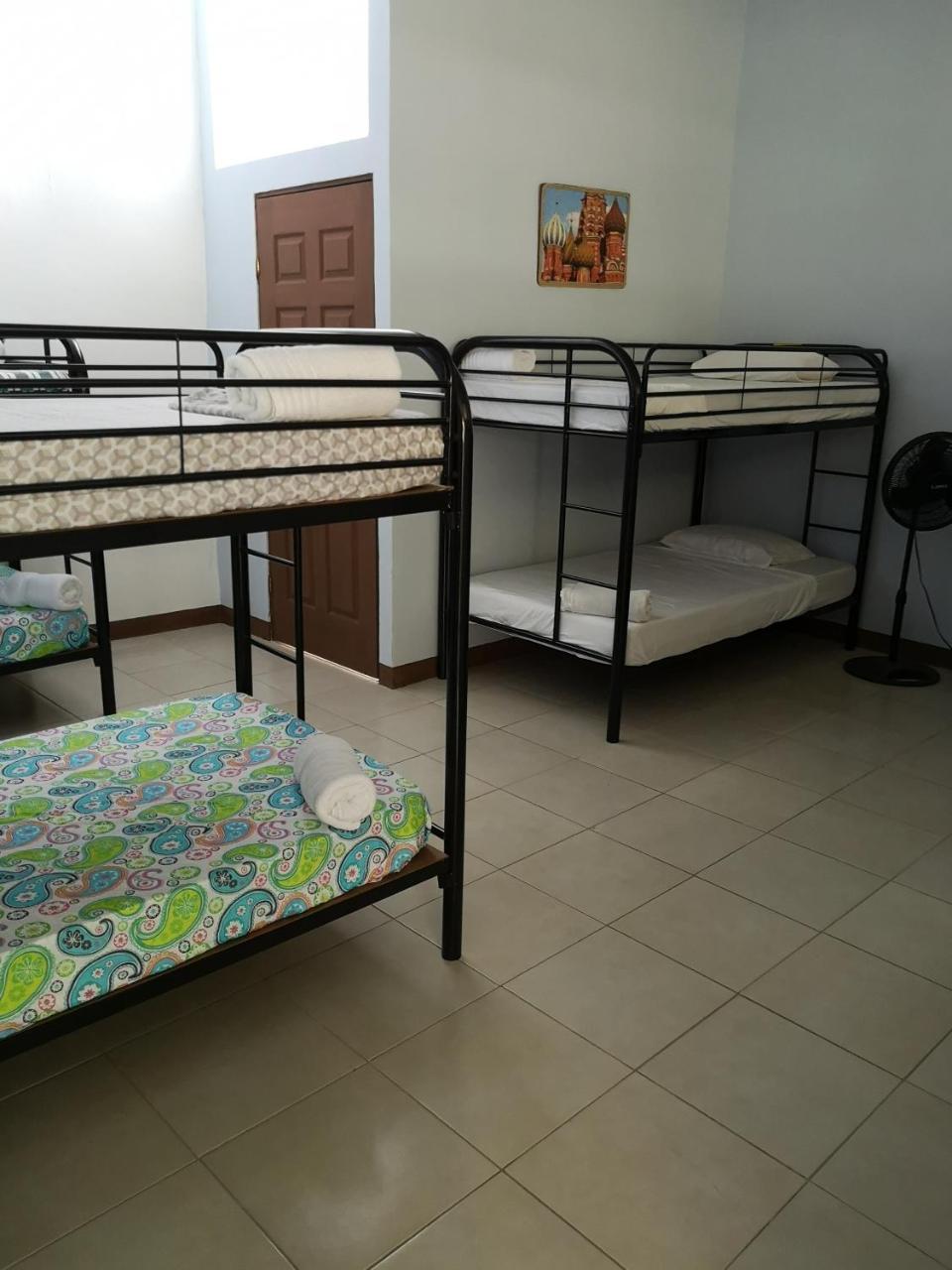 Blue Morpho House B&B Manuel Antonio Dış mekan fotoğraf
