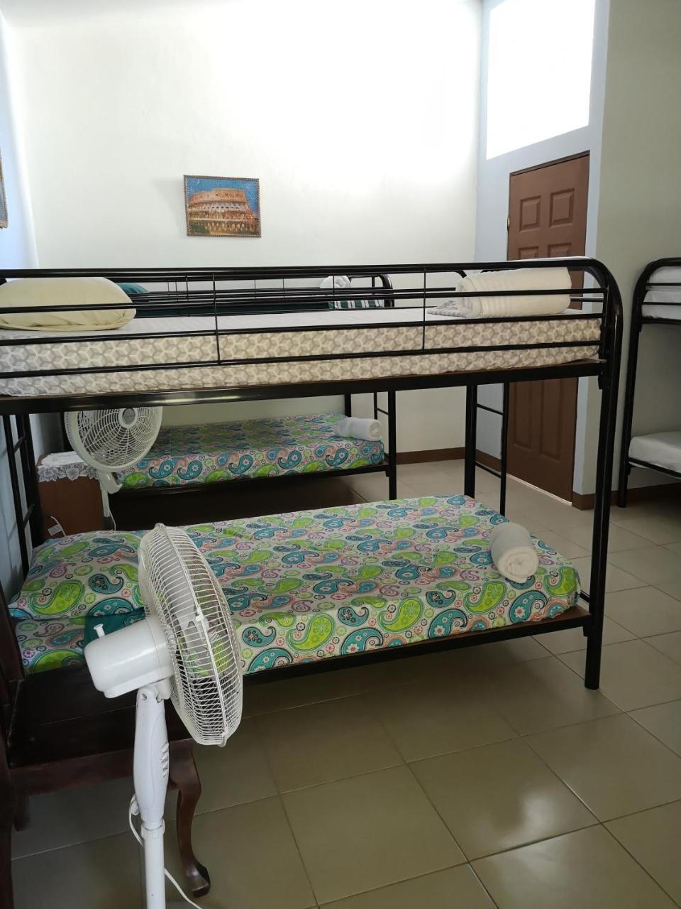 Blue Morpho House B&B Manuel Antonio Dış mekan fotoğraf